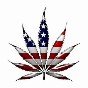 Meet your Posher, Carl